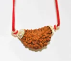 Natural 1 Face/Mukhi Rudraksha - Image 2