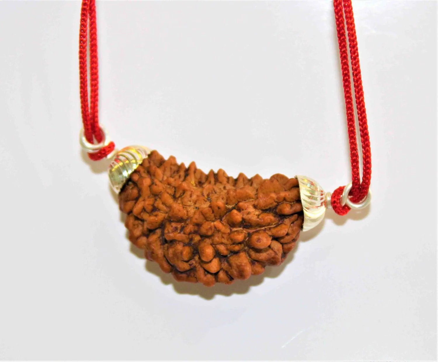 natural-1-facemukhi-rudraksha-837895 Natural 1 Face/Mukhi Rudraksha - Image 1