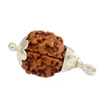 Natural 3 Mukhi Rudraksha (Nepal Origin) - Image 2