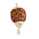 Natural 3 Mukhi Rudraksha (Nepal Origin)